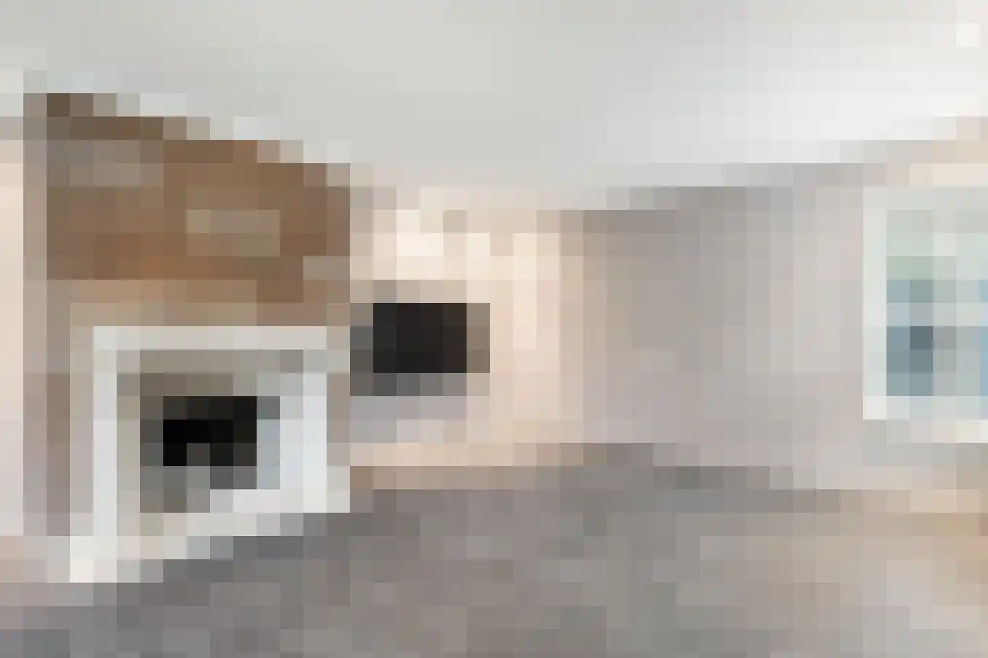 Patrijslaantje 2 Sassenheim thumbnail 15
