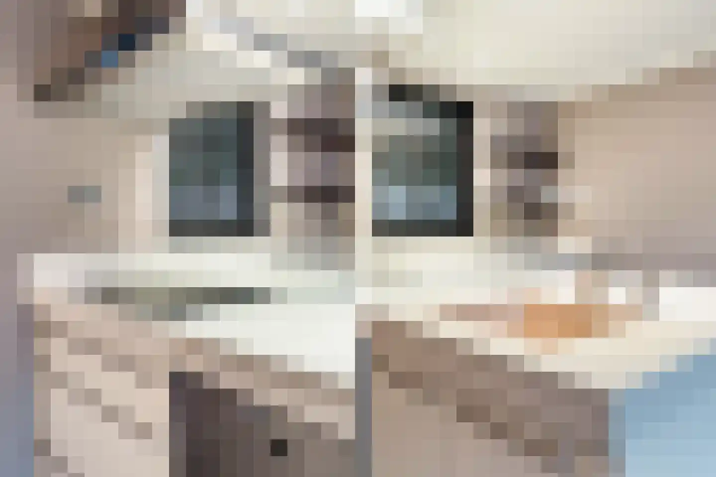 Patrijslaantje 2 Sassenheim thumbnail 23