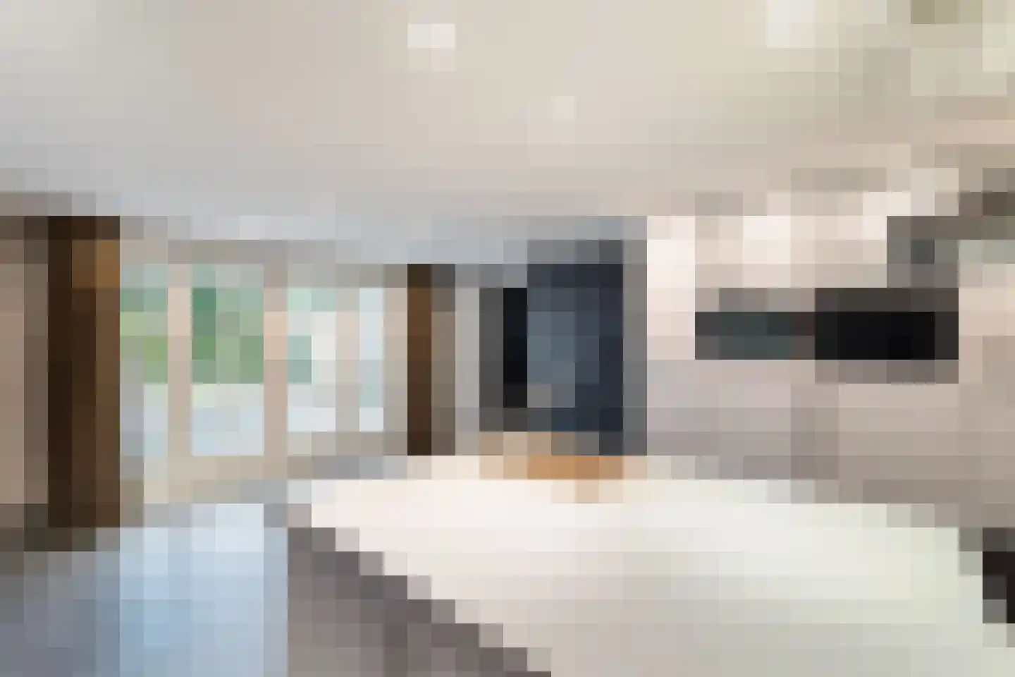 Patrijslaantje 2 Sassenheim thumbnail 24