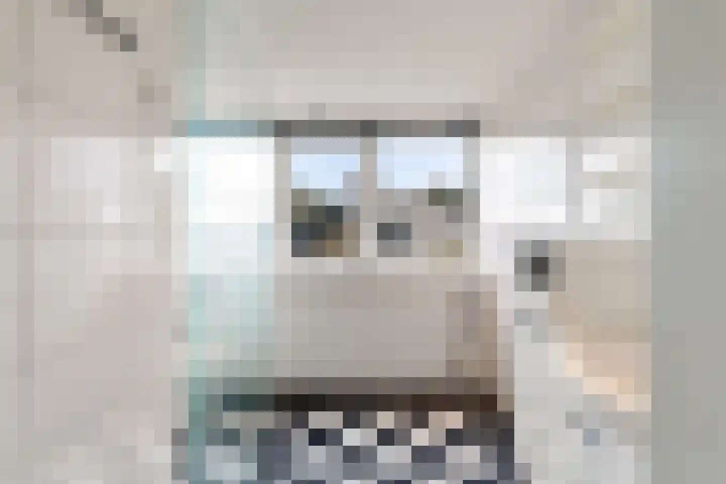 Patrijslaantje 2 Sassenheim thumbnail 62