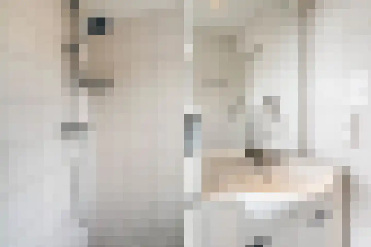 Patrijslaantje 2 Sassenheim thumbnail 64