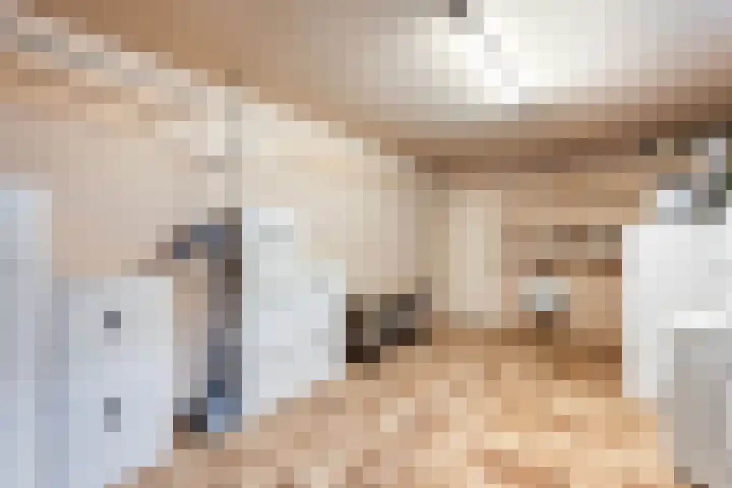Patrijslaantje 2 Sassenheim thumbnail 67