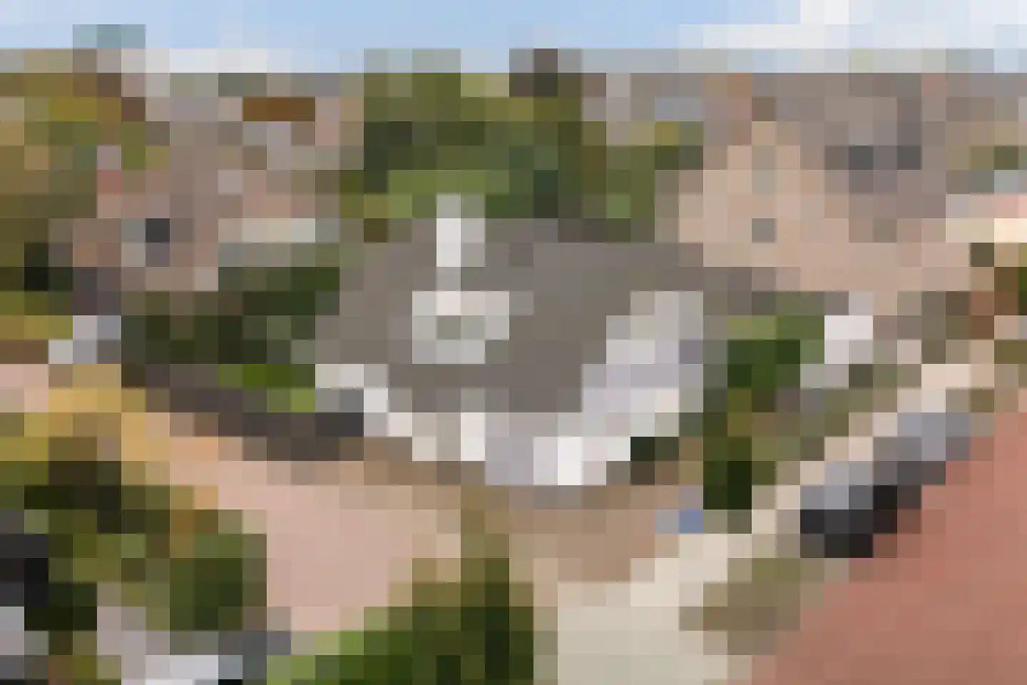 Patrijslaantje 2 Sassenheim thumbnail 69
