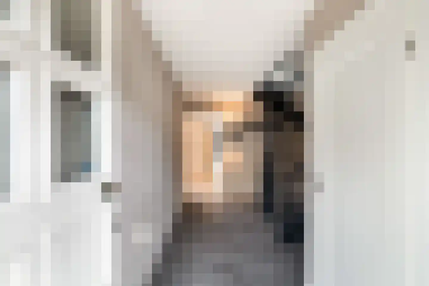 Patrijslaantje 2 Sassenheim thumbnail 7