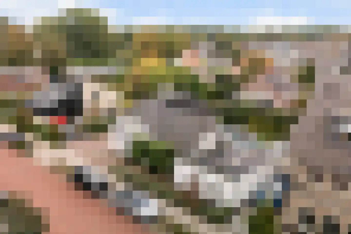 Patrijslaantje 2 Sassenheim thumbnail 70