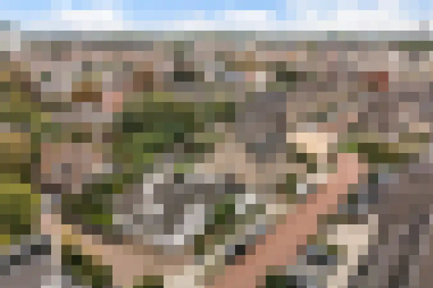 Patrijslaantje 2 Sassenheim thumbnail 75