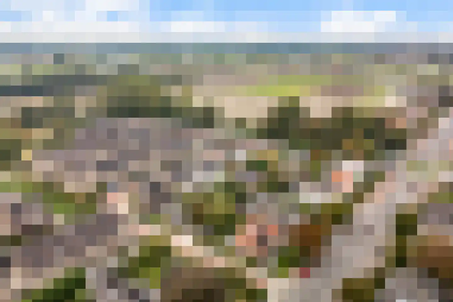 Patrijslaantje 2 Sassenheim thumbnail 78