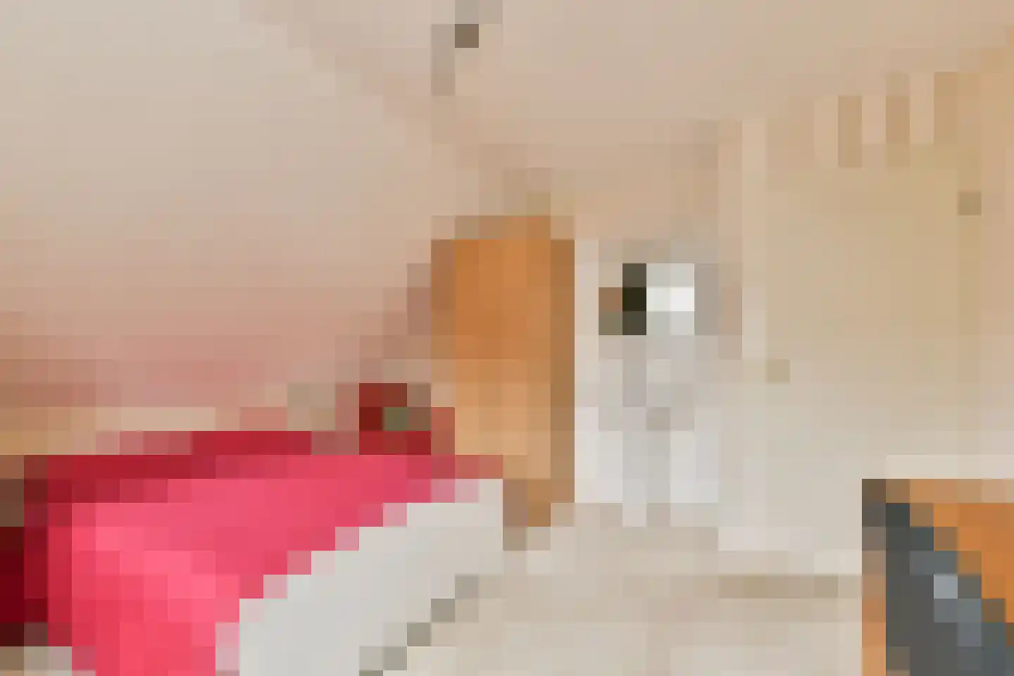 Patrijslaantje 4 Sassenheim thumbnail 19