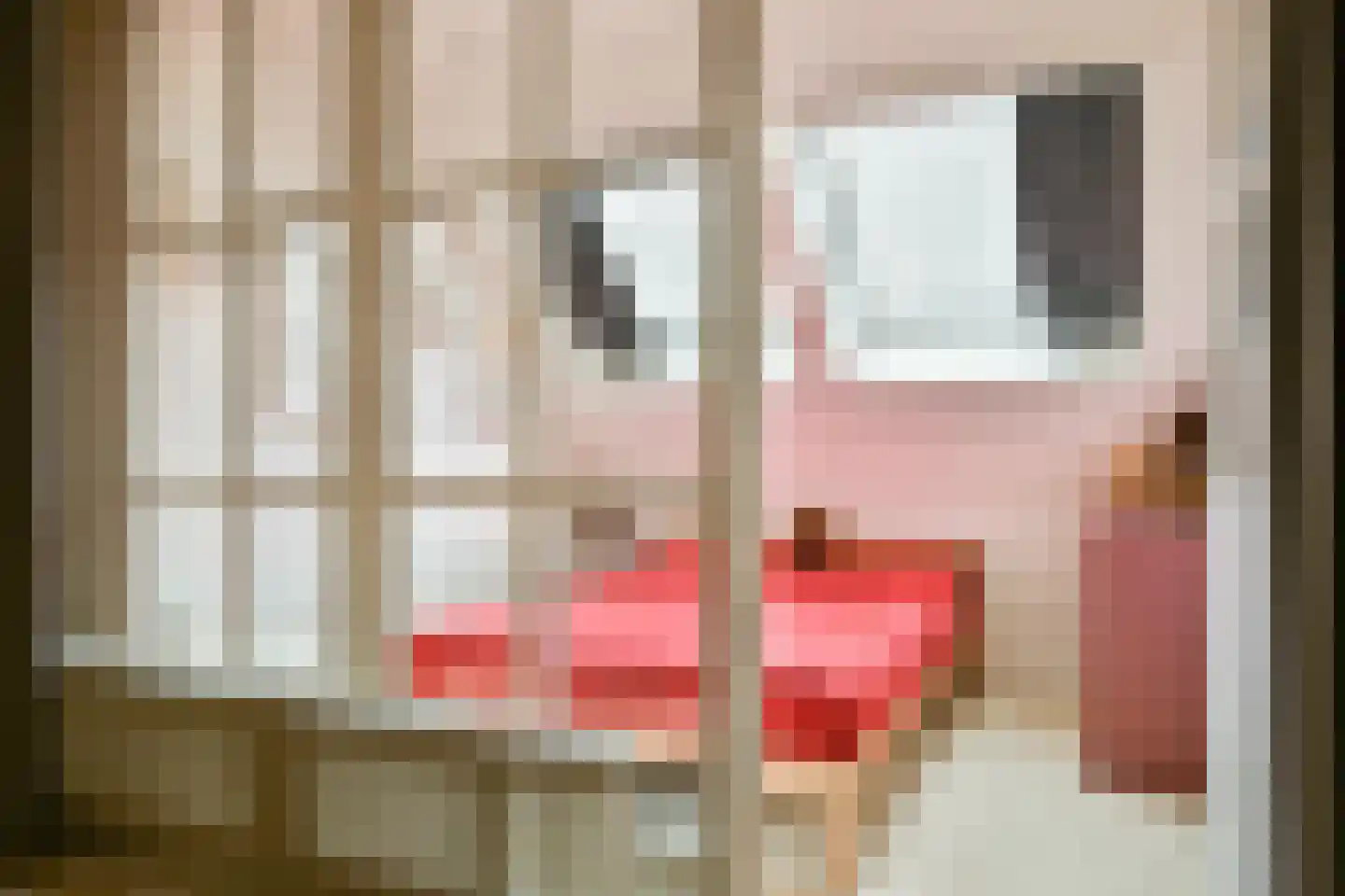 Patrijslaantje 4 Sassenheim thumbnail 22