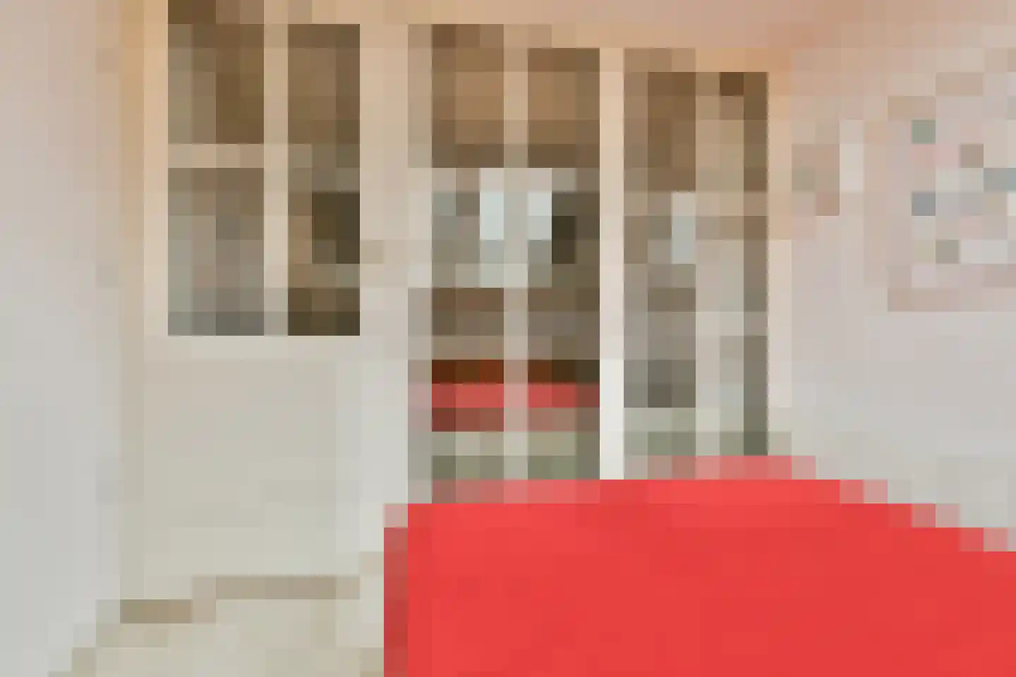 Patrijslaantje 4 Sassenheim thumbnail 23