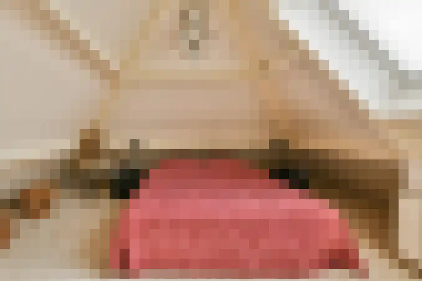 Patrijslaantje 4 Sassenheim thumbnail 28