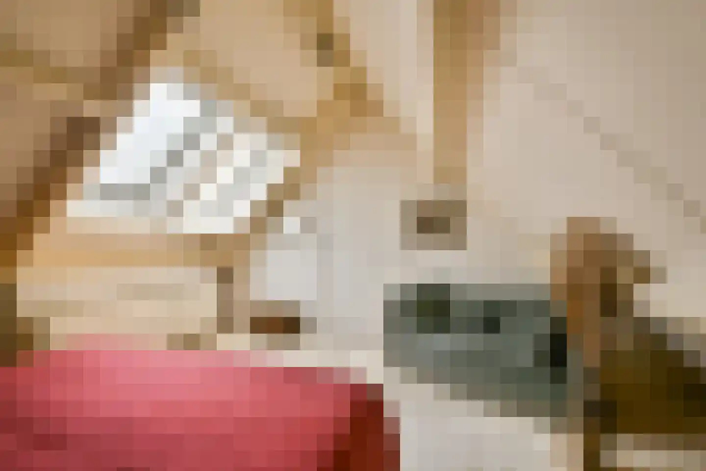 Patrijslaantje 4 Sassenheim thumbnail 29