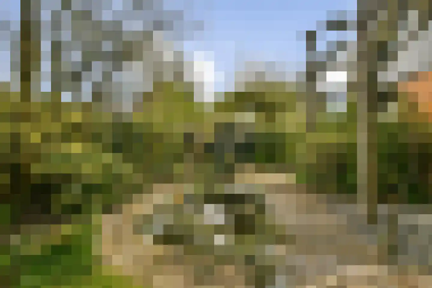 Patrijslaantje 4 Sassenheim thumbnail 33