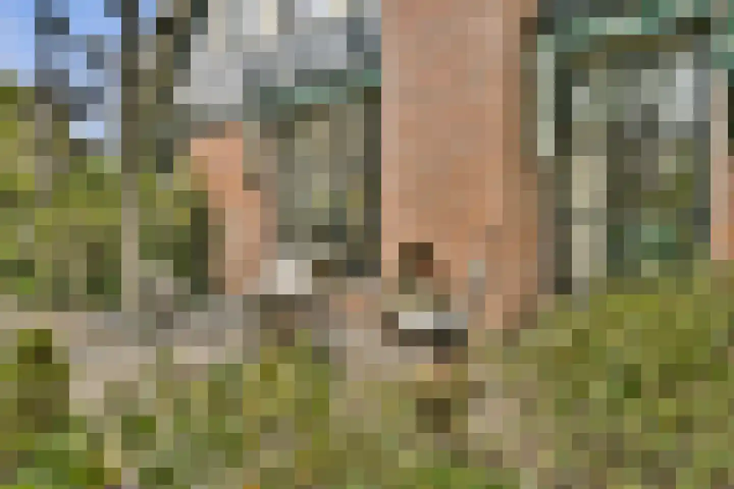 Patrijslaantje 4 Sassenheim thumbnail 34