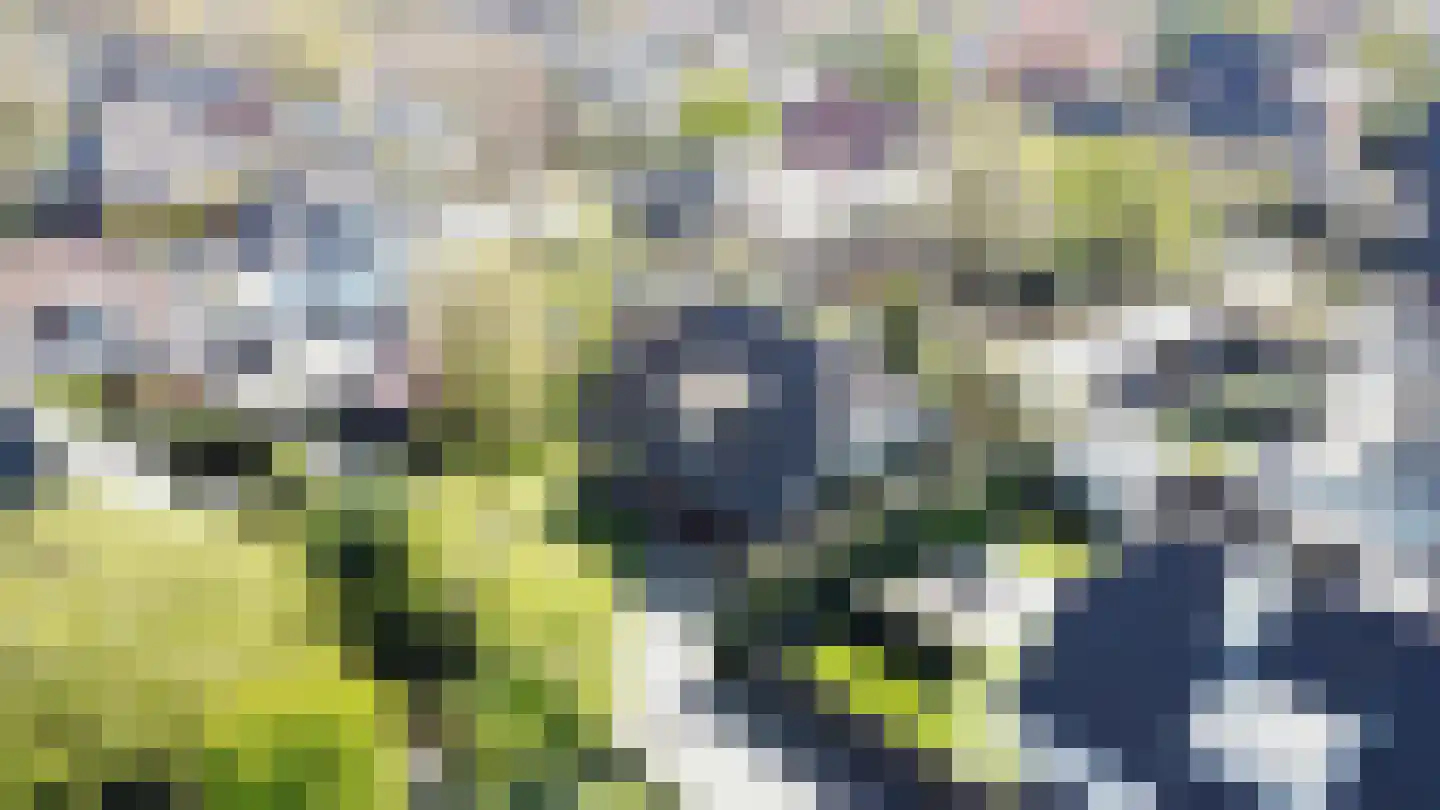 Patrijslaantje 4 Sassenheim thumbnail 39
