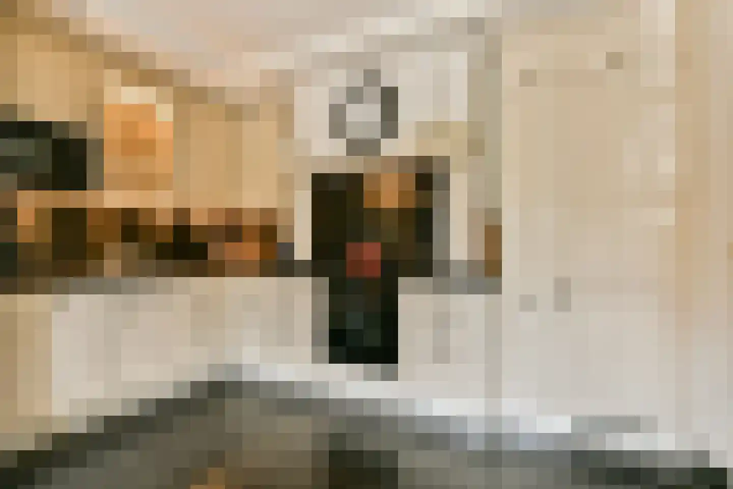 Patrijslaantje 4 Sassenheim thumbnail 7