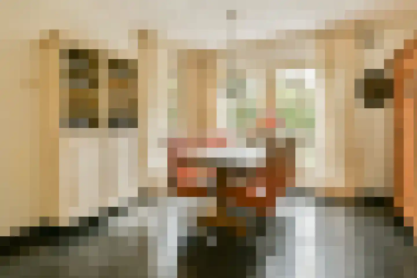Patrijslaantje 4 Sassenheim thumbnail 8