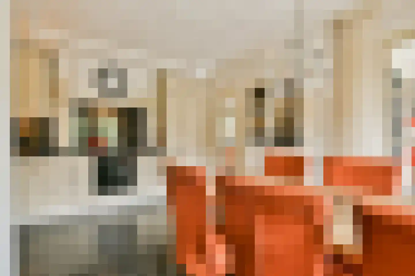 Patrijslaantje 4 Sassenheim thumbnail 9