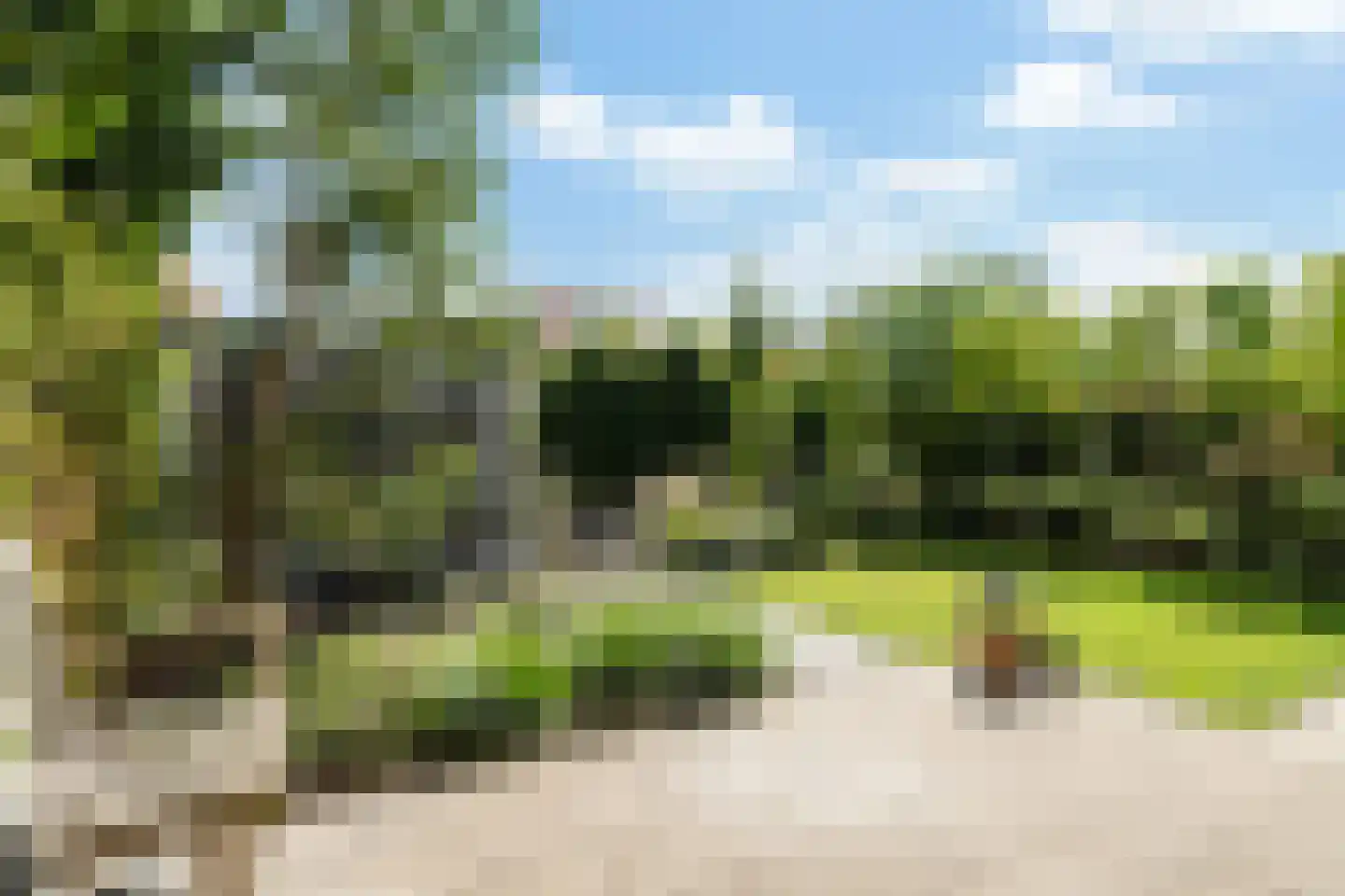 Patrijslande 13 Pijnacker thumbnail 34
