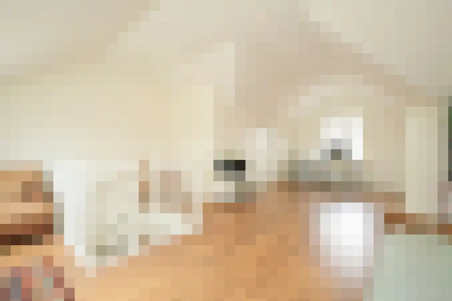 Patrijslande 14 Pijnacker thumbnail 37