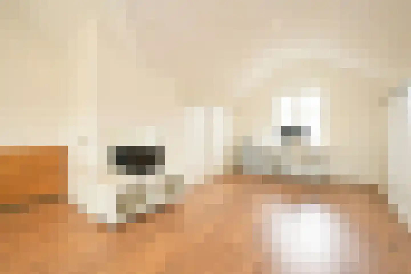 Patrijslande 14 Pijnacker thumbnail 38
