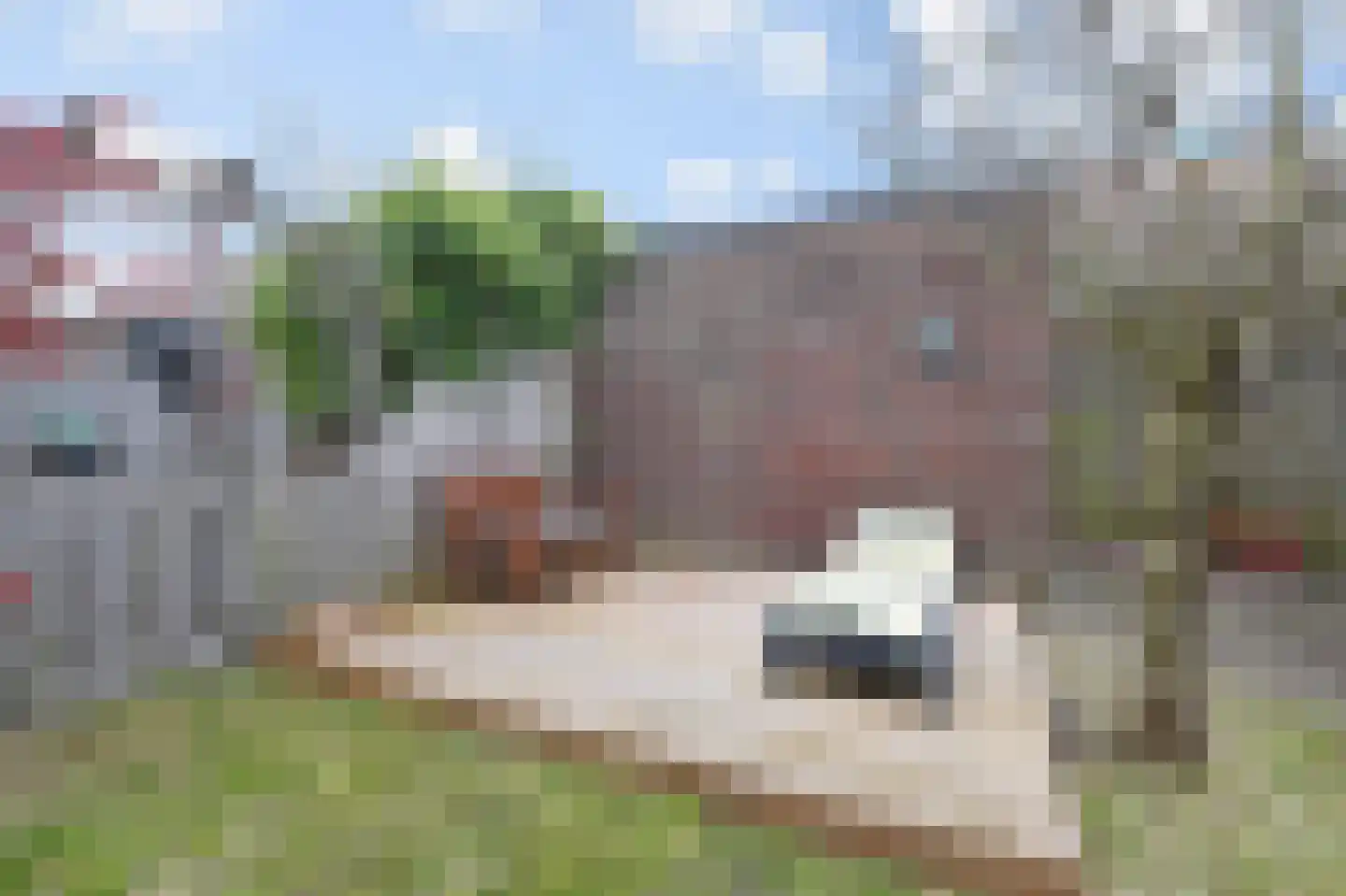 Patrijsplantsoen 15 Den Haag thumbnail 14