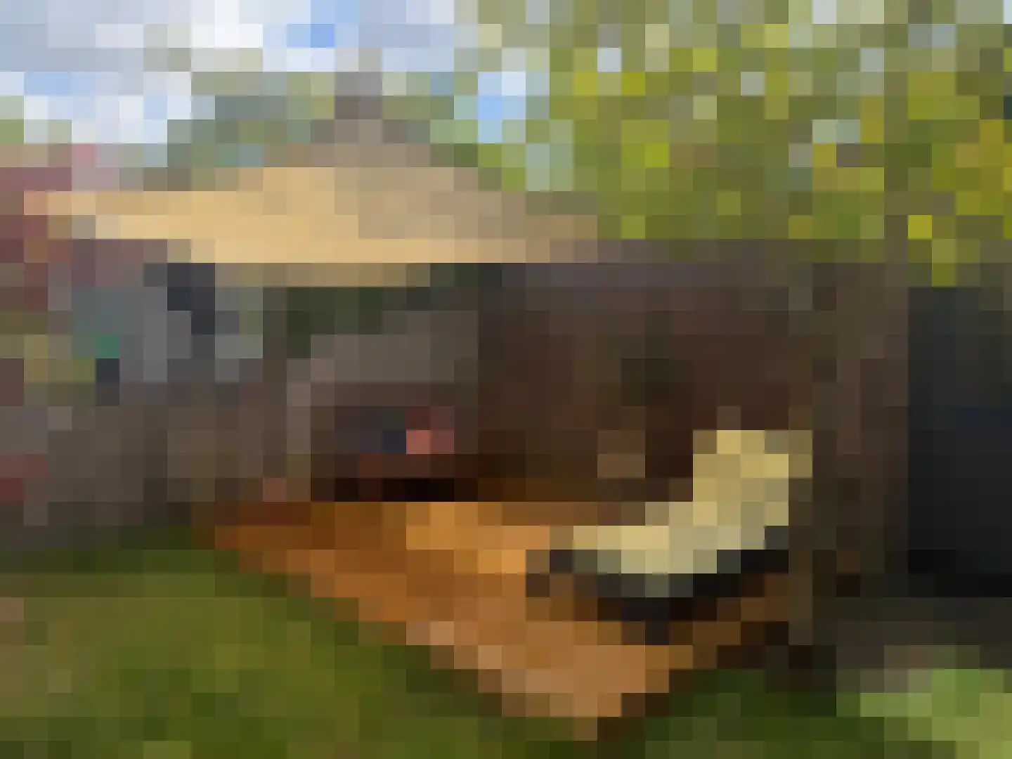 Patrijsplantsoen 15 Den Haag thumbnail 15