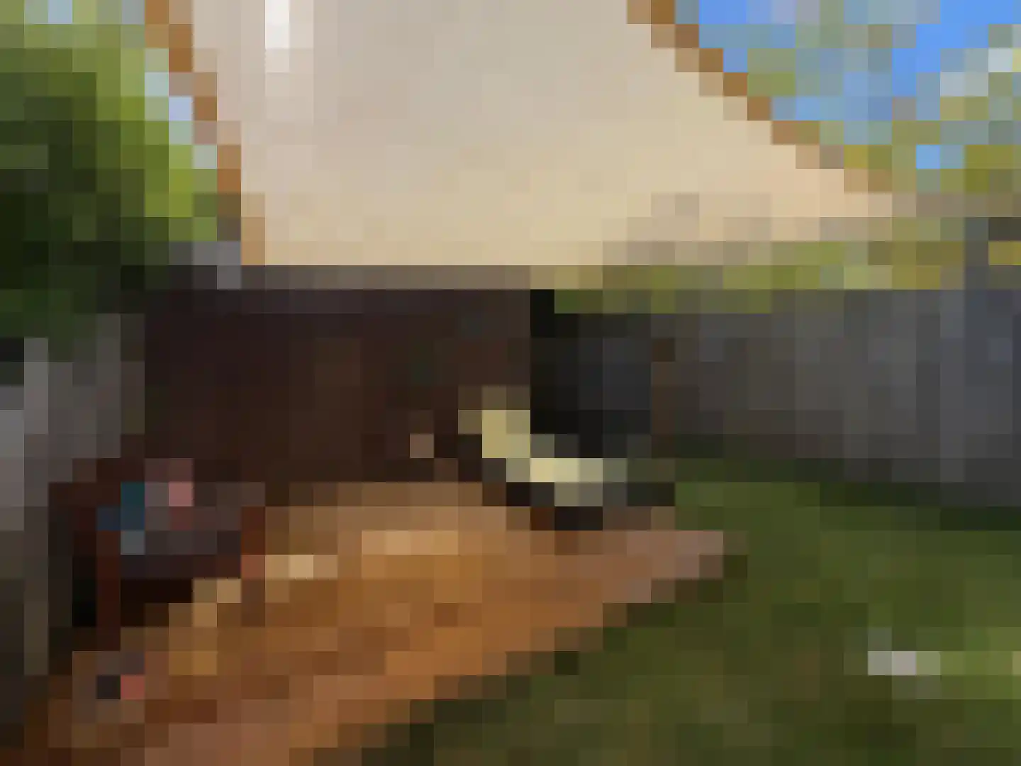 Patrijsplantsoen 15 Den Haag thumbnail 16