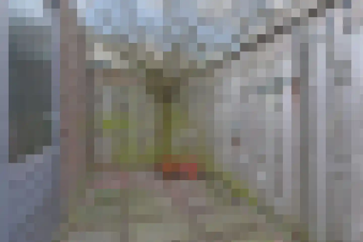 Patrijsplantsoen 15 Den Haag thumbnail 17