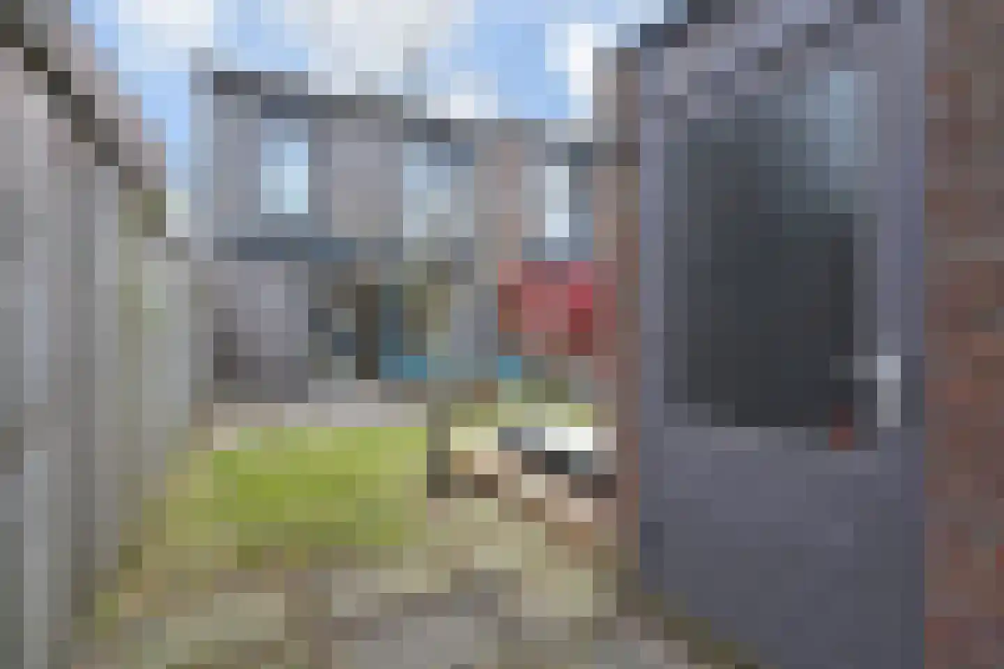 Patrijsplantsoen 15 Den Haag thumbnail 19