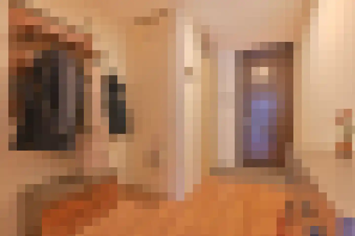 Patrijsplantsoen 15 Den Haag thumbnail 26