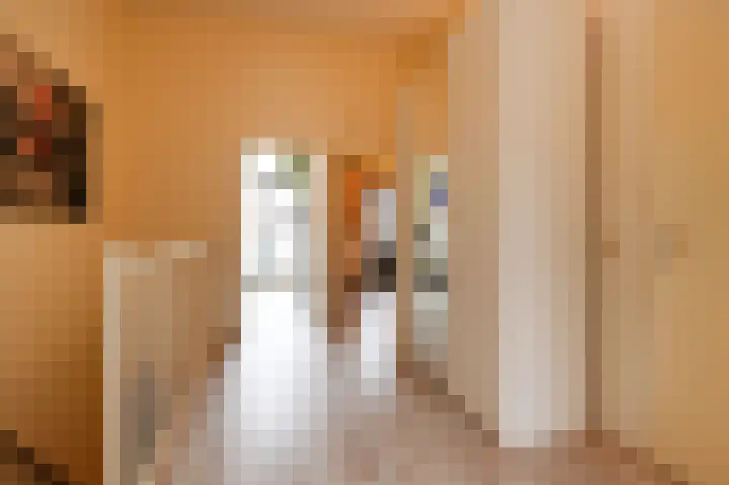 Patrijsplantsoen 15 Den Haag thumbnail 32