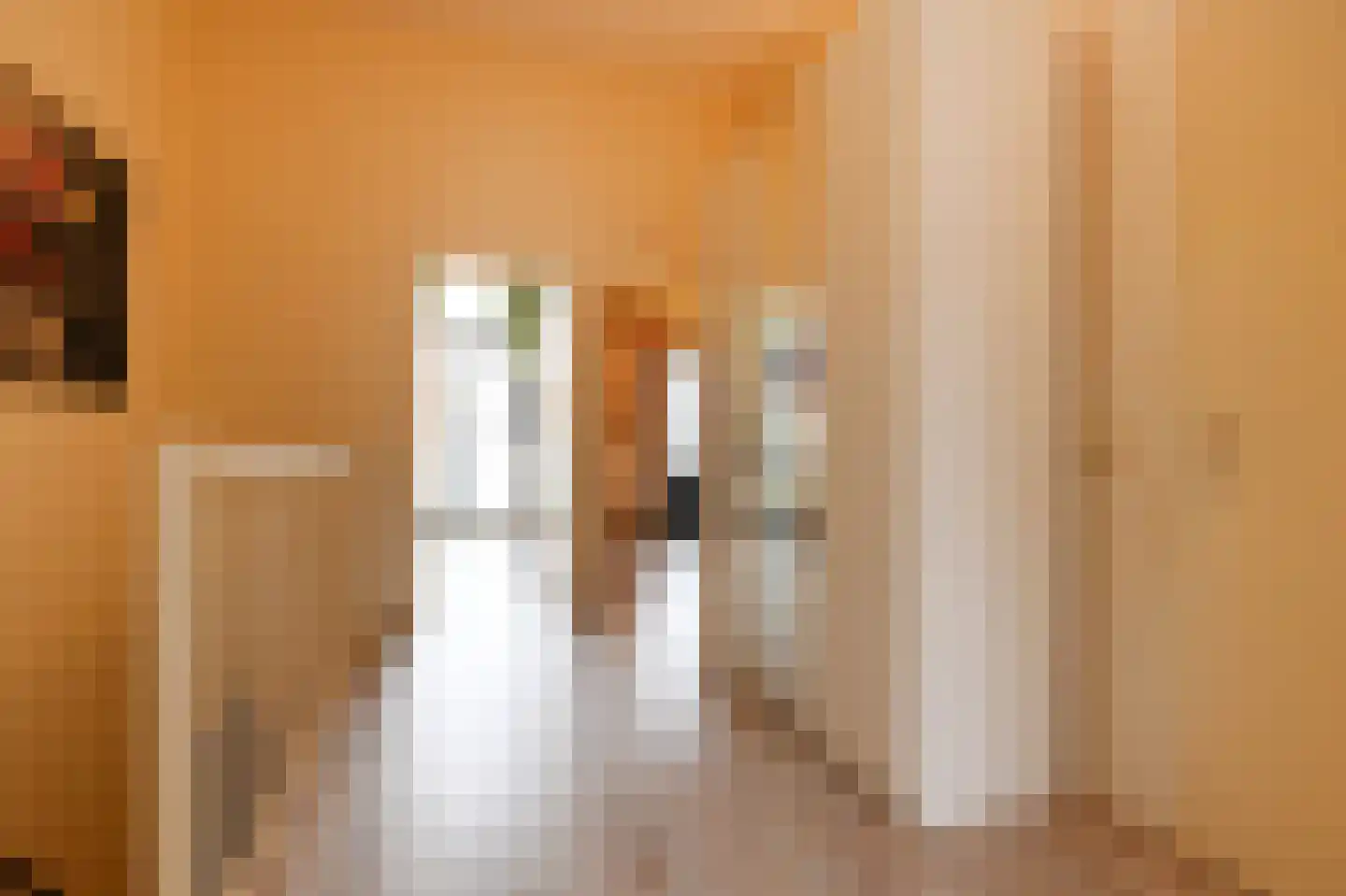 Patrijsplantsoen 15 Den Haag thumbnail 36