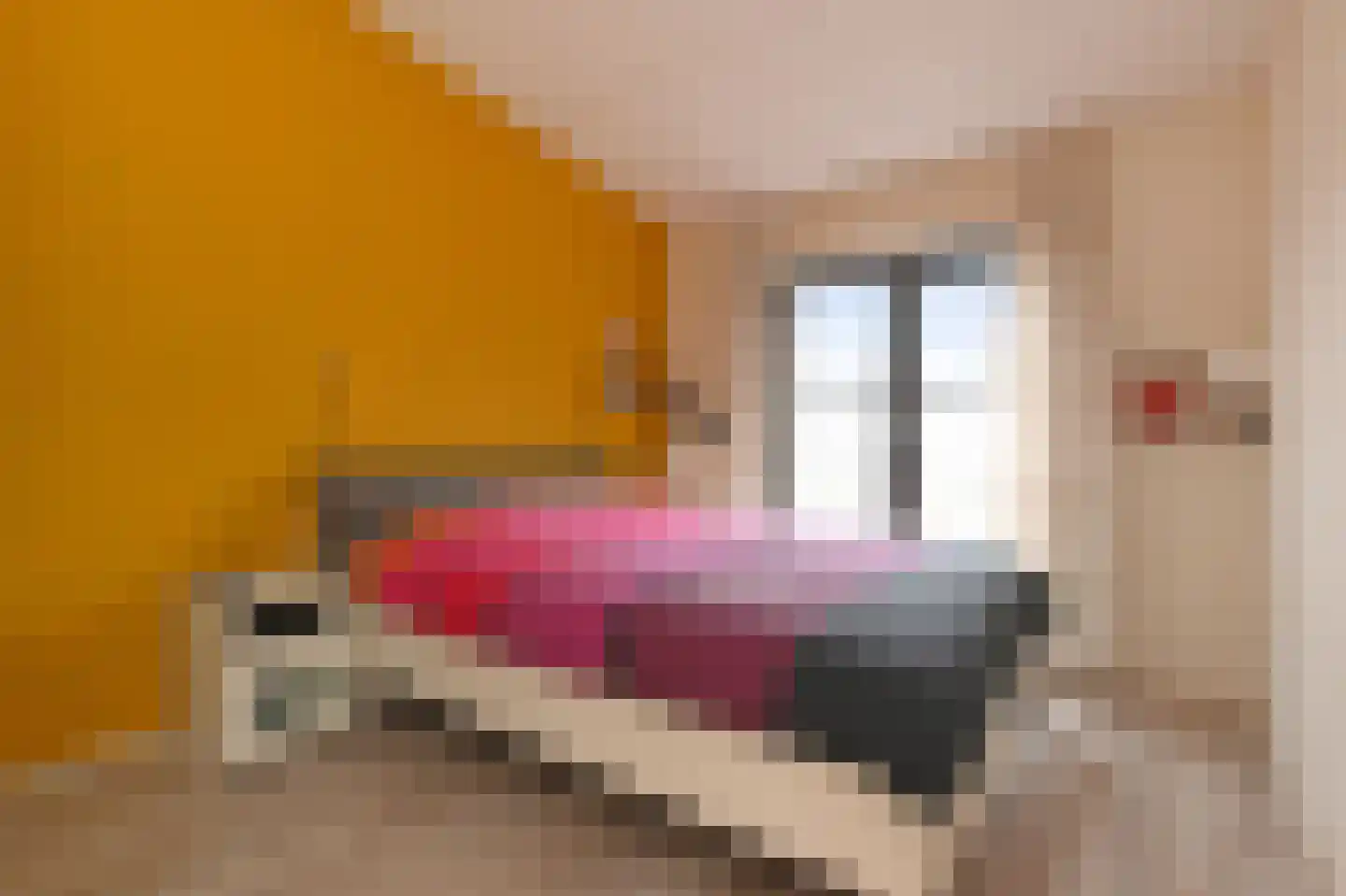 Patrijsplantsoen 15 Den Haag thumbnail 37