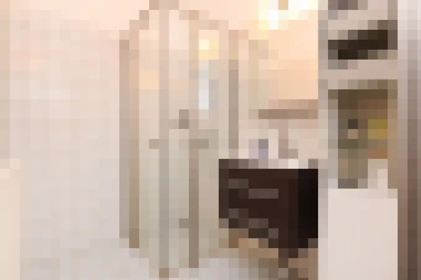 Patrijsplantsoen 15 Den Haag thumbnail 40