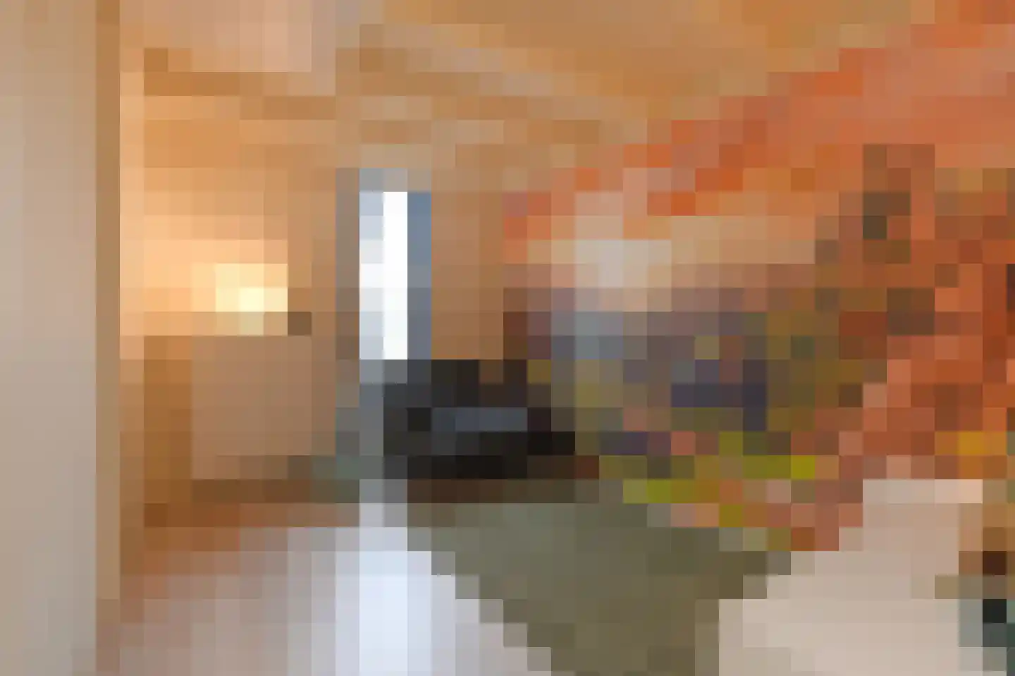 Patrijsplantsoen 15 Den Haag thumbnail 41