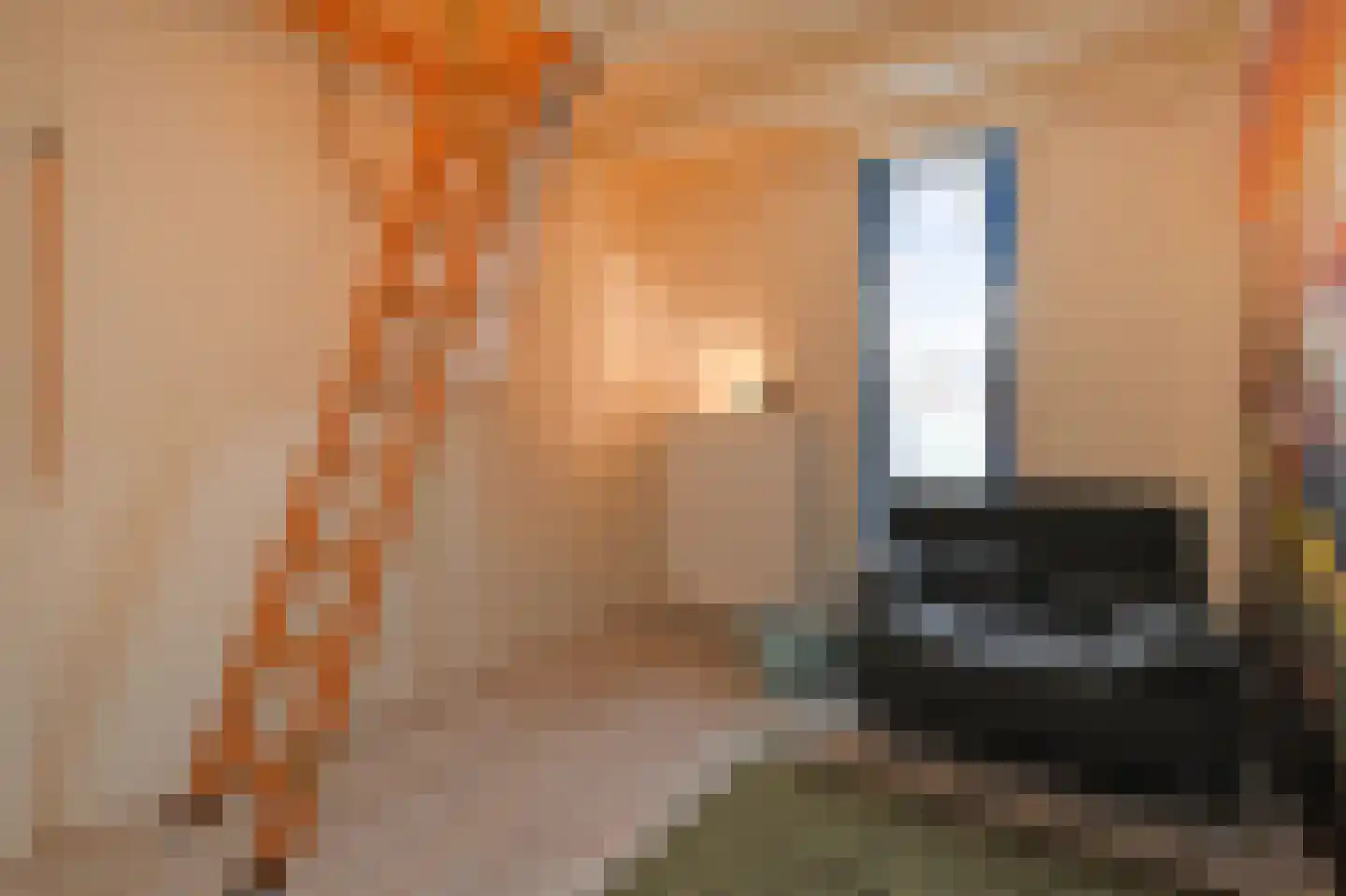 Patrijsplantsoen 15 Den Haag thumbnail 42