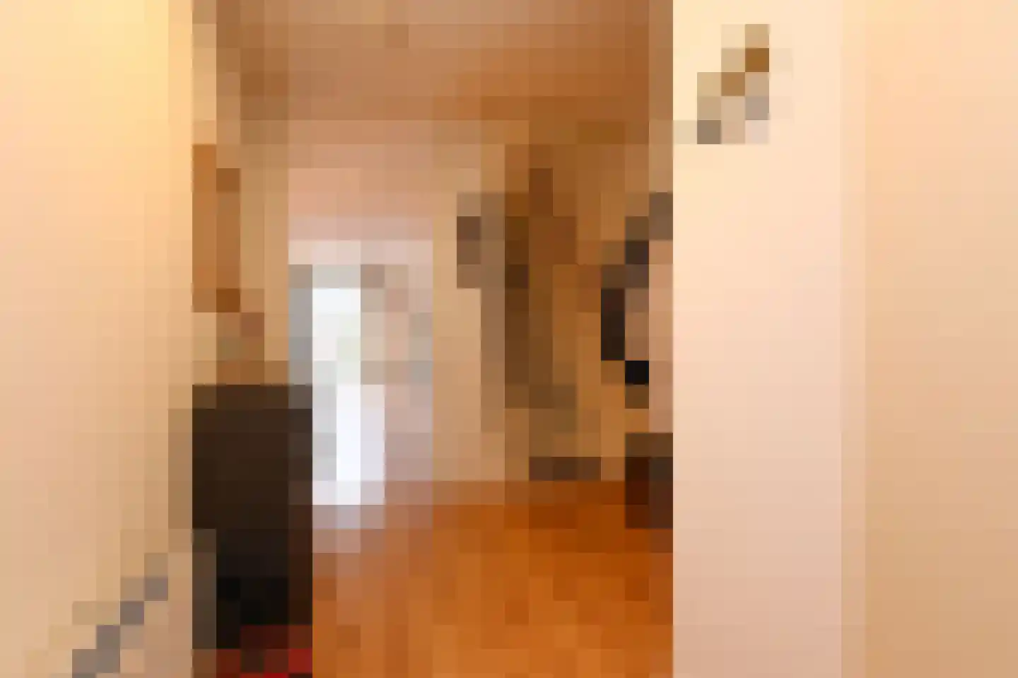 Patrijsplantsoen 15 Den Haag thumbnail 6
