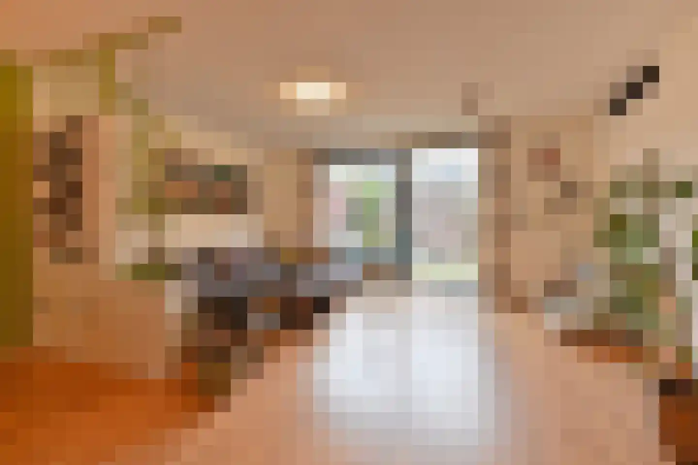 Patrijsplantsoen 15 Den Haag thumbnail 9