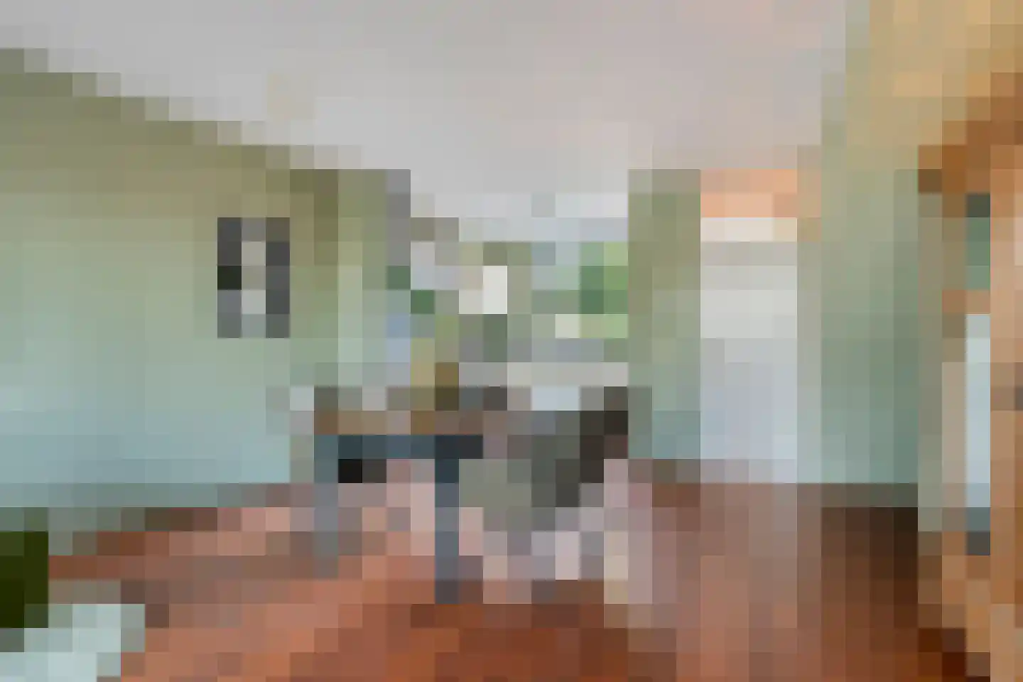 Patrijspoort 136 Groningen thumbnail 12