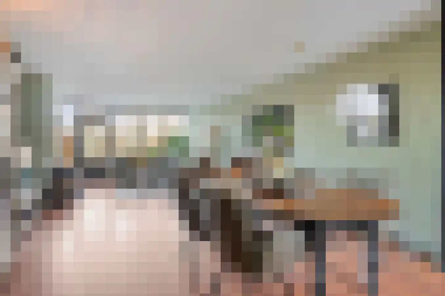 Patrijspoort 136 Groningen thumbnail 14