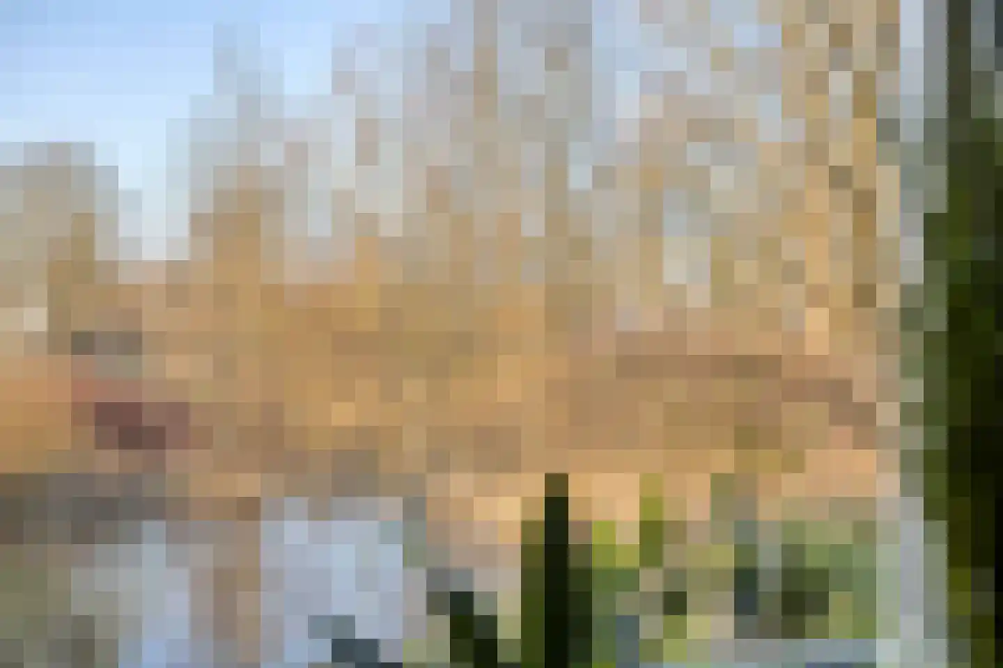 Patrijspoort 136 Groningen thumbnail 21
