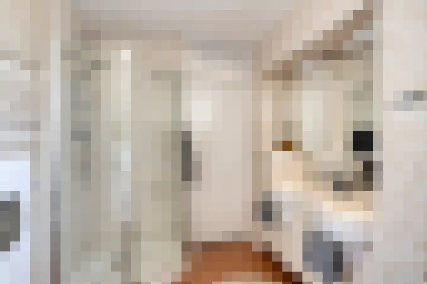 Patrijspoort 136 Groningen thumbnail 24