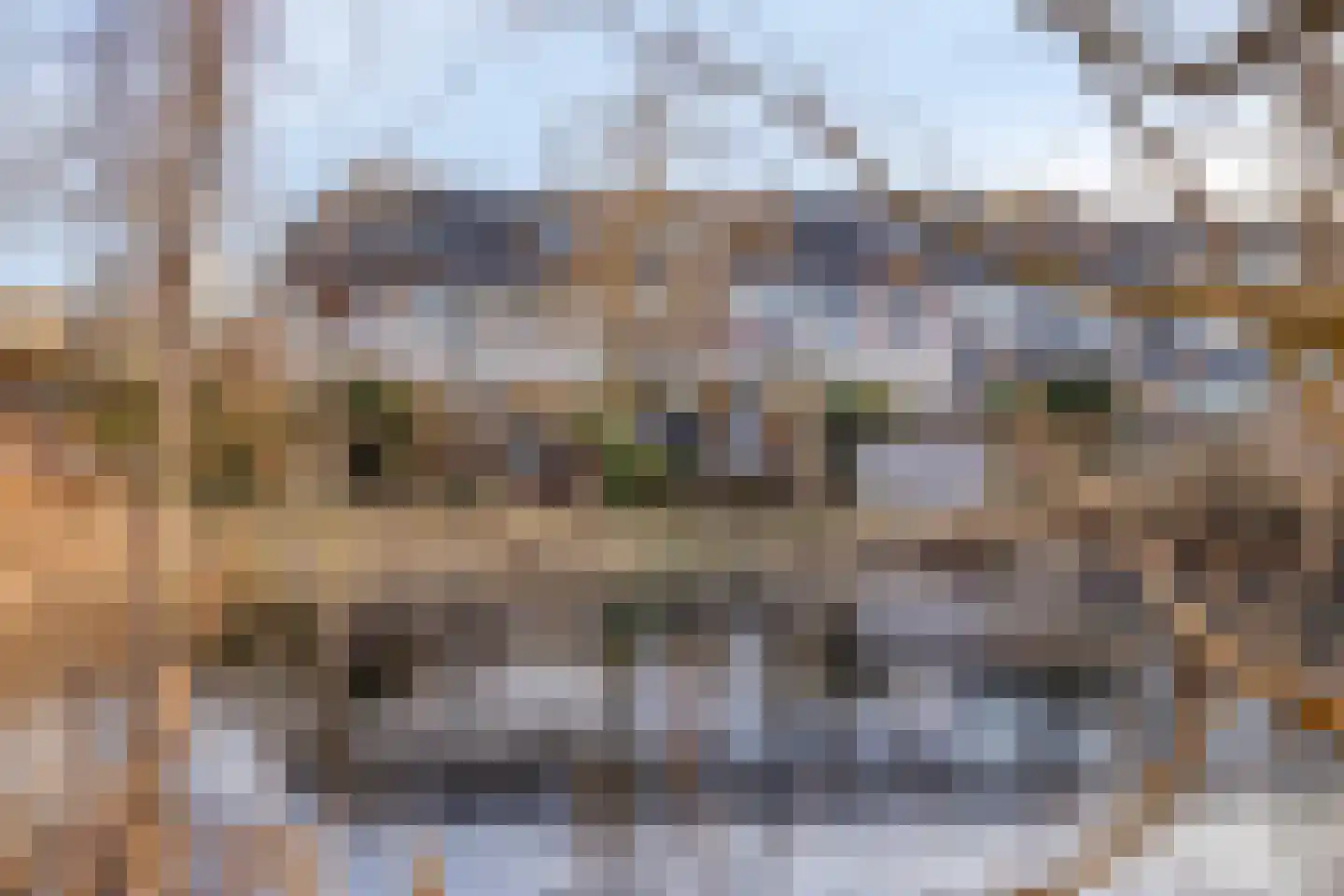 Patrijspoort 136 Groningen thumbnail 34