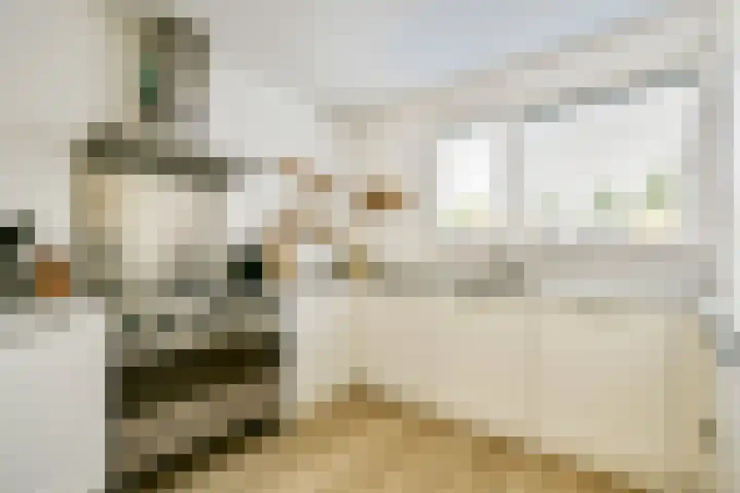 Patrijspoort 14 Amstelveen thumbnail 10