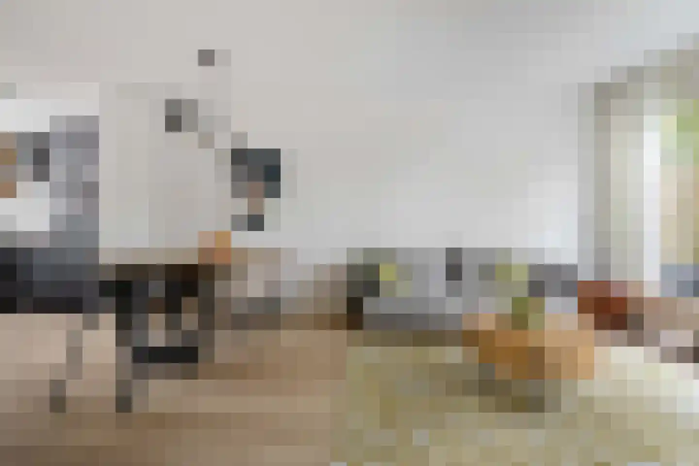 Patrijspoort 25 Groningen thumbnail 11