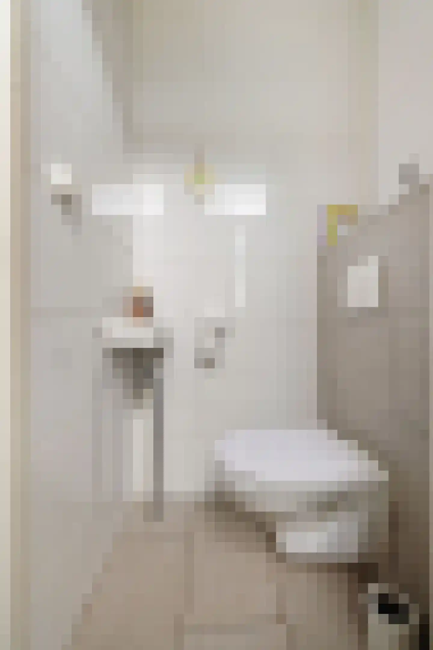 Patrijspoort 25 Groningen thumbnail 18