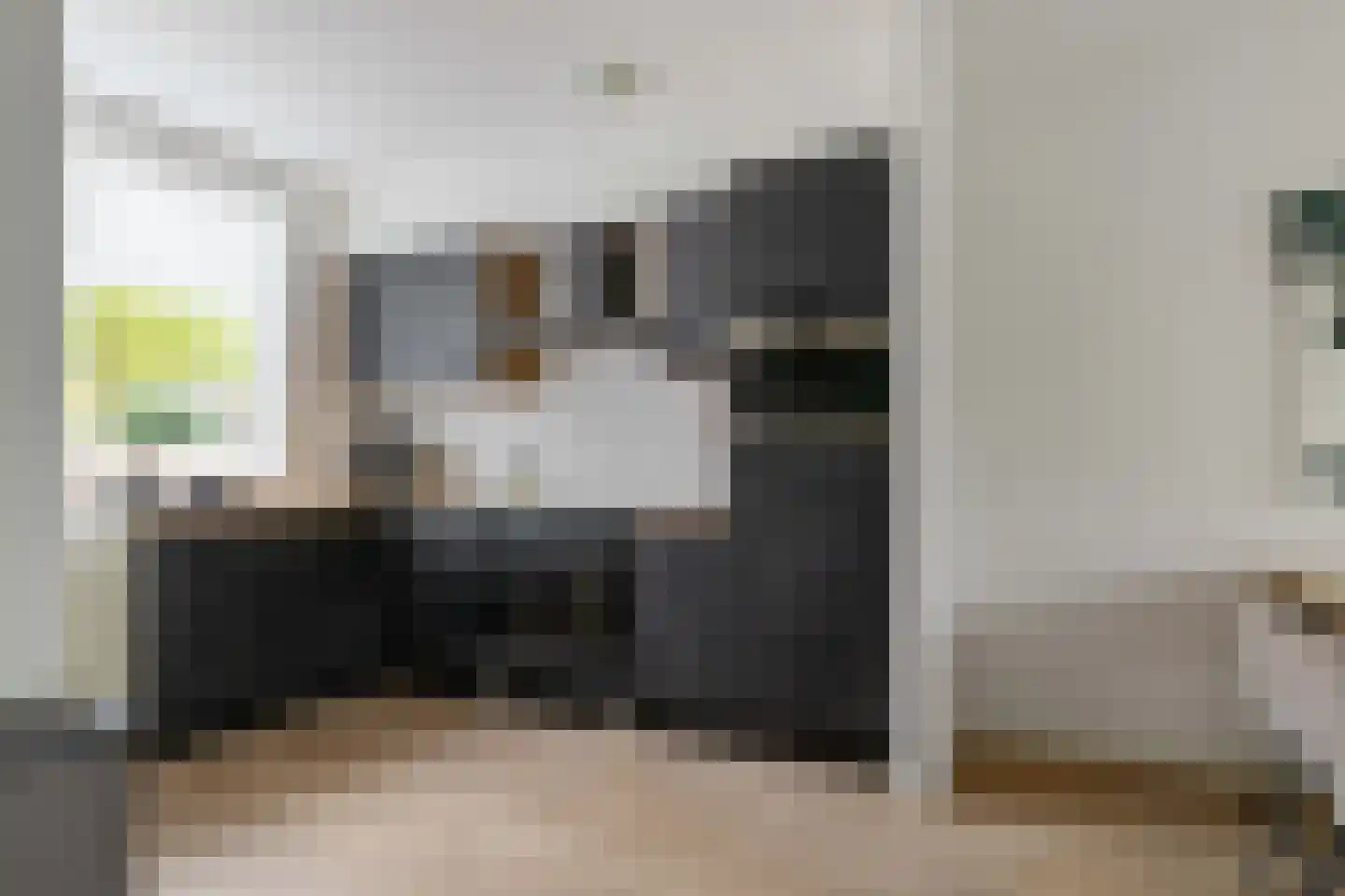 Patrijspoort 25 Groningen thumbnail 4