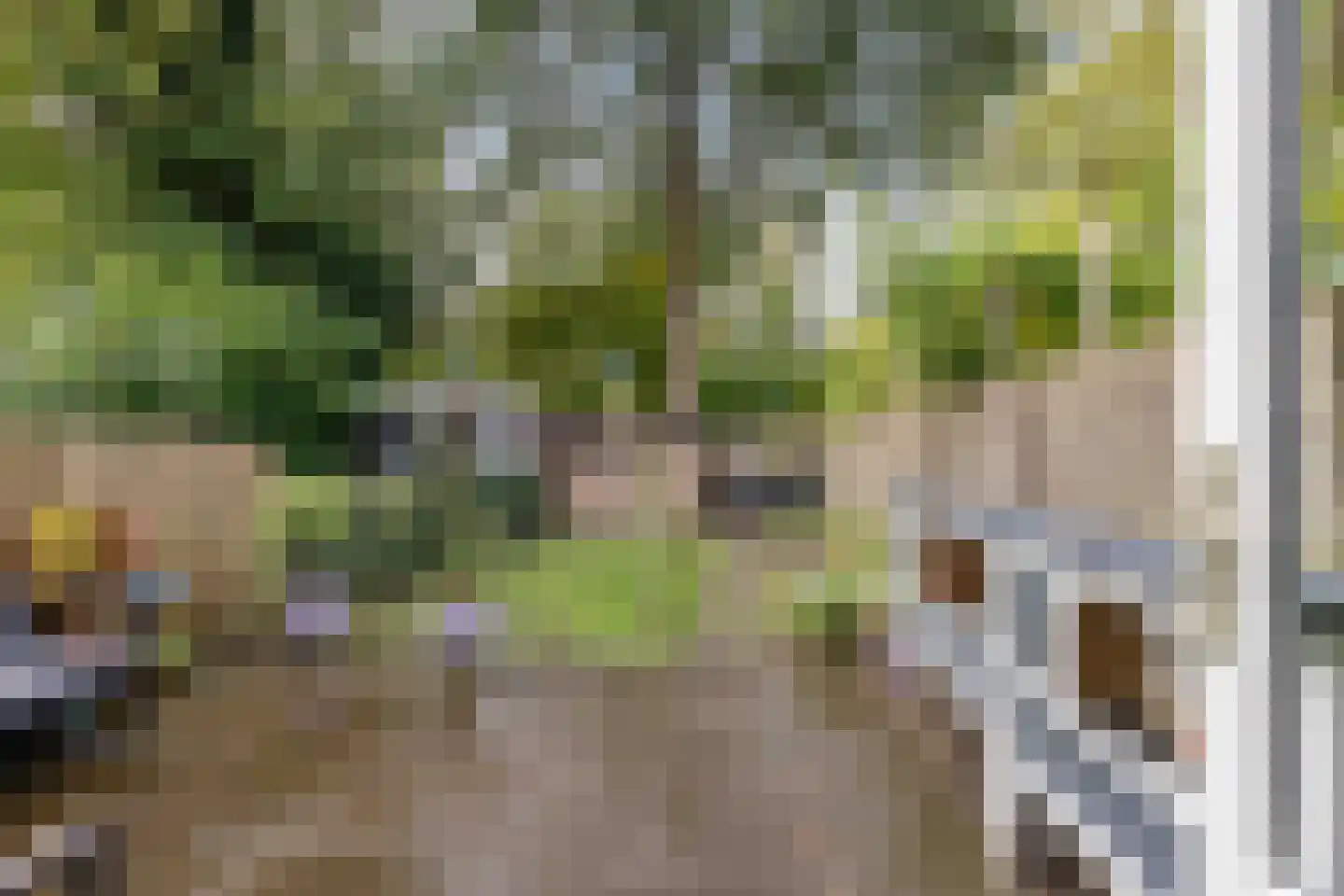 Patrijspoort 25 Groningen thumbnail 5