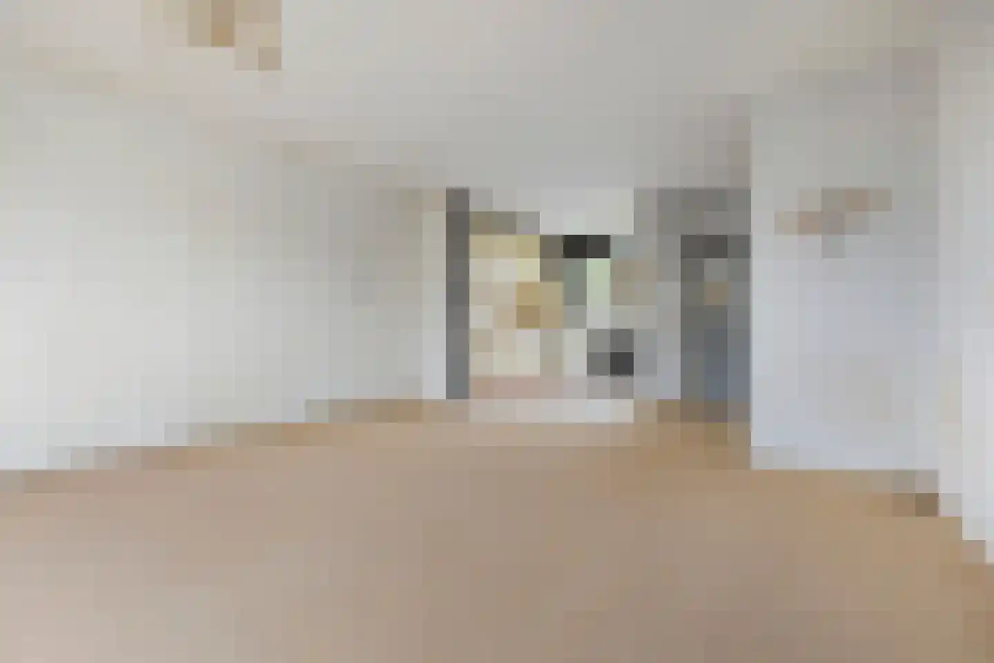 Patrijspoort 26 Groningen thumbnail 10